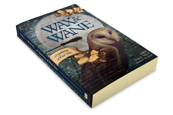 Wax & Wane Paperback