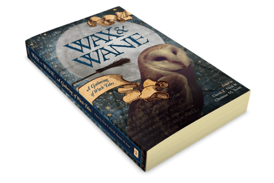 Wax & Wane Paperback