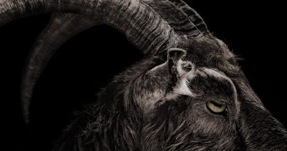 Black Phillip