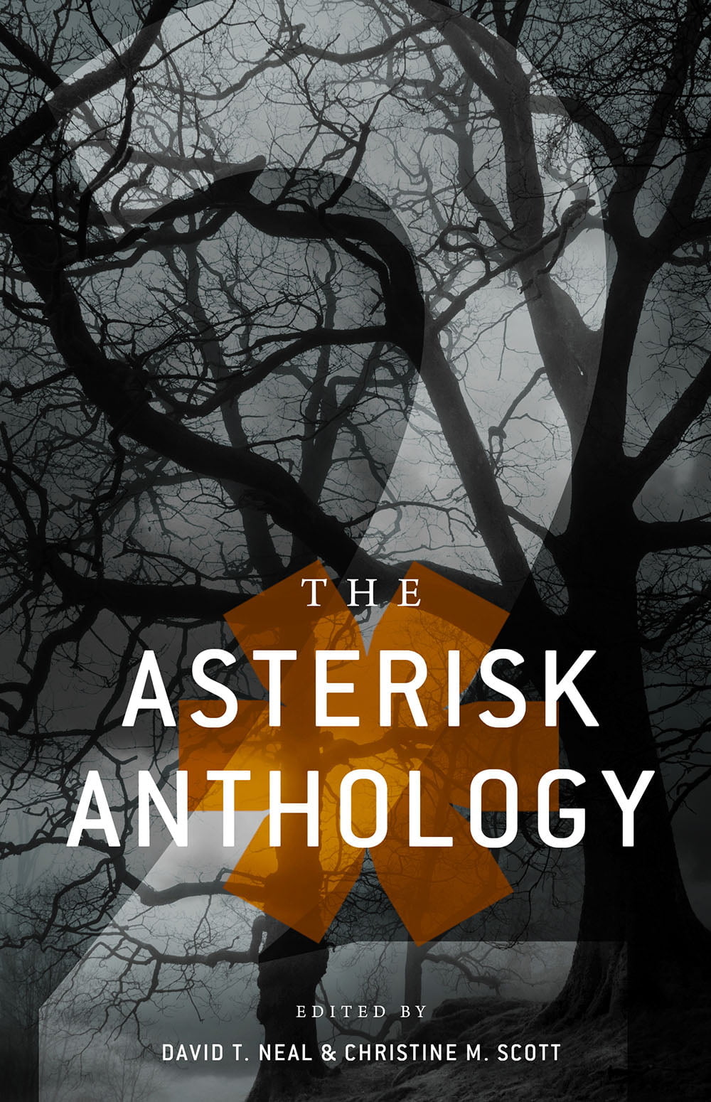 The Asterisk Anthology: Volume 2